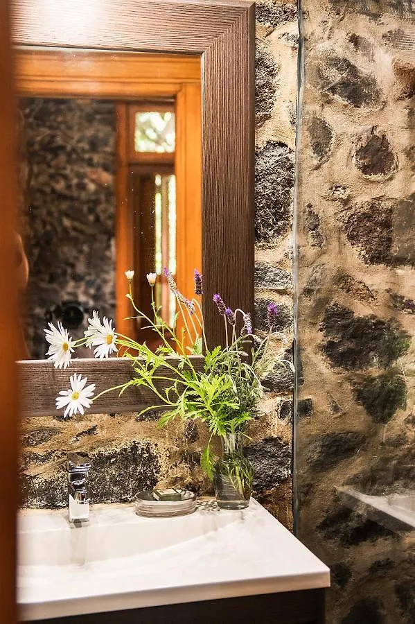 Homeforguest Cosy Rural Flat El Romero With Large Gardens Tacoronte Španělsko