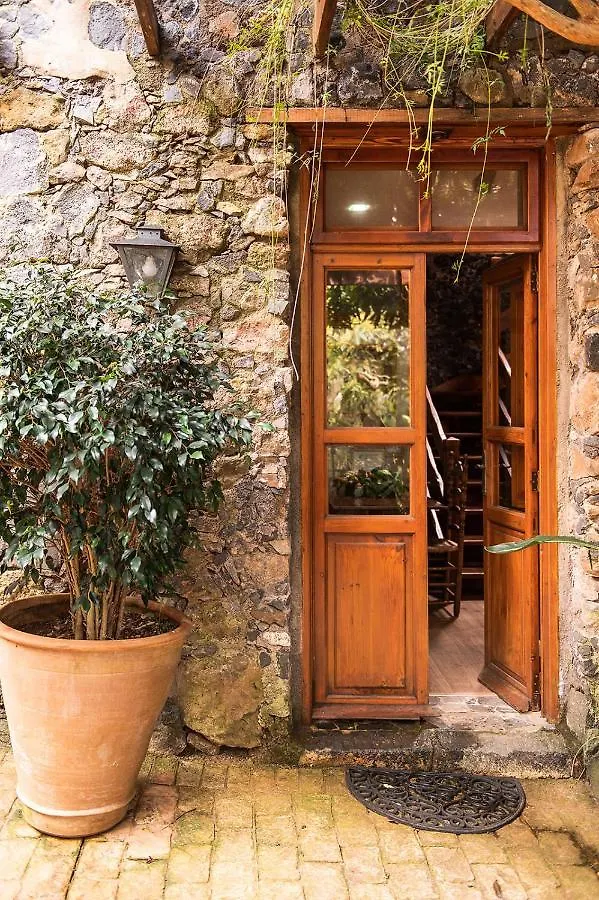 Apartment Homeforguest Cosy Rural Flat El Romero With Large Gardens Tacoronte