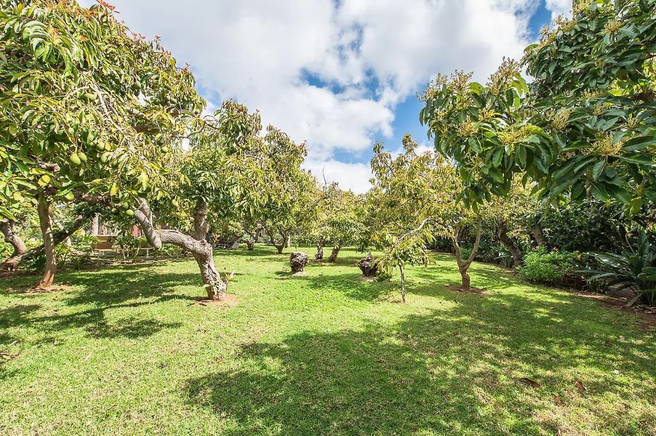 Homeforguest Cosy Rural Flat El Romero With Large Gardens Tacoronte