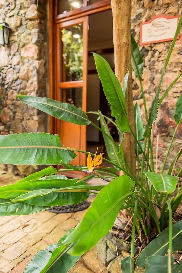 Homeforguest Cosy Rural Flat El Romero With Large Gardens Tacoronte 0*,  Spain