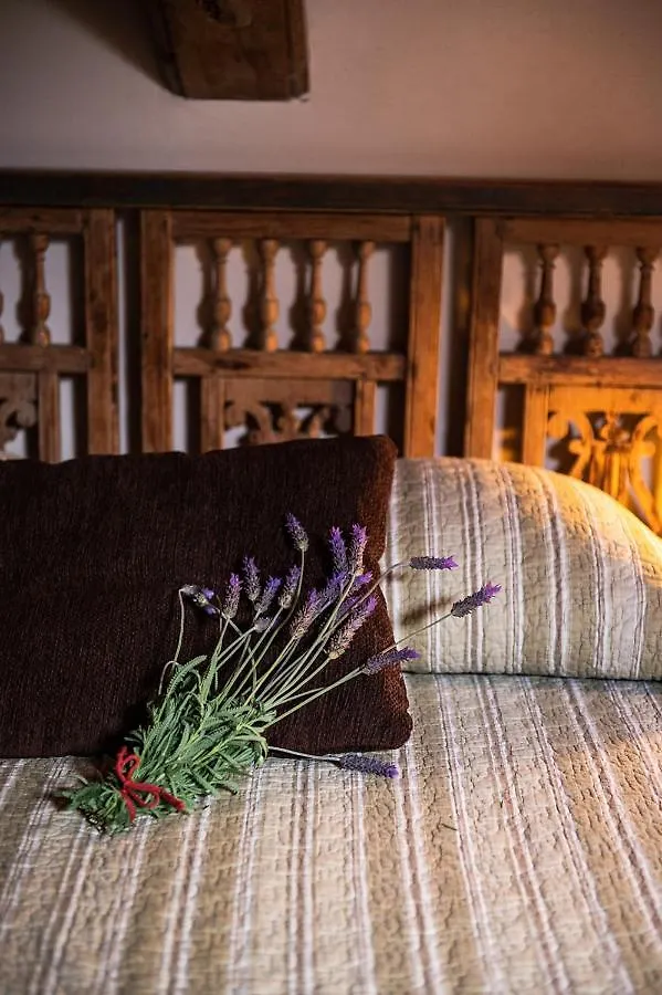 Homeforguest Cosy Rural Flat El Romero With Large Gardens Tacoronte